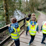 National Tree Week Image 3