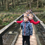 National Tree Week Image 4